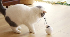 3-in-1 Robotic Laser Tumbling Cat Toy