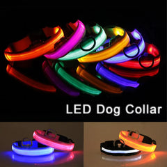 🐕 Light-Up LED Dog Collar – Adjustable, Waterproof, Safe for Night Walks