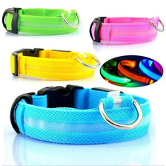 🐕 Light-Up LED Dog Collar – Adjustable, Waterproof, Safe for Night Walks