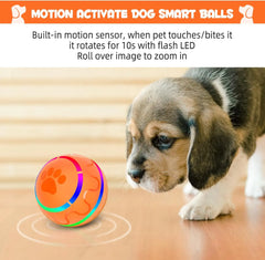 Interactive Smart Ball for Dogs