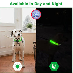🐕 Light-Up LED Dog Collar – Adjustable, Waterproof, Safe for Night Walks