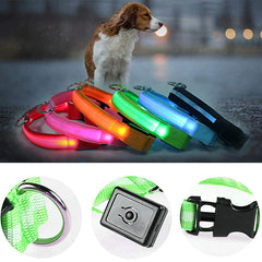 🐕 Light-Up LED Dog Collar – Adjustable, Waterproof, Safe for Night Walks
