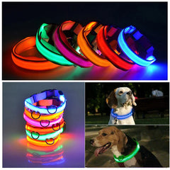 🐕 Light-Up LED Dog Collar – Adjustable, Waterproof, Safe for Night Walks