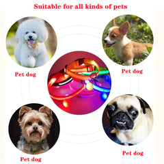 🐕 Light-Up LED Dog Collar – Adjustable, Waterproof, Safe for Night Walks