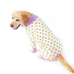 Dog Pajamas - Surgical Recovery Suits for Male & Female