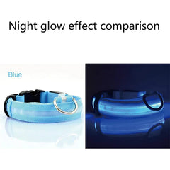 🐕 Light-Up LED Dog Collar – Adjustable, Waterproof, Safe for Night Walks
